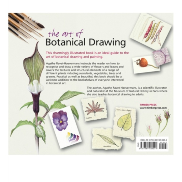 The Art Of Botanical Drawing - Picture 2 of 2